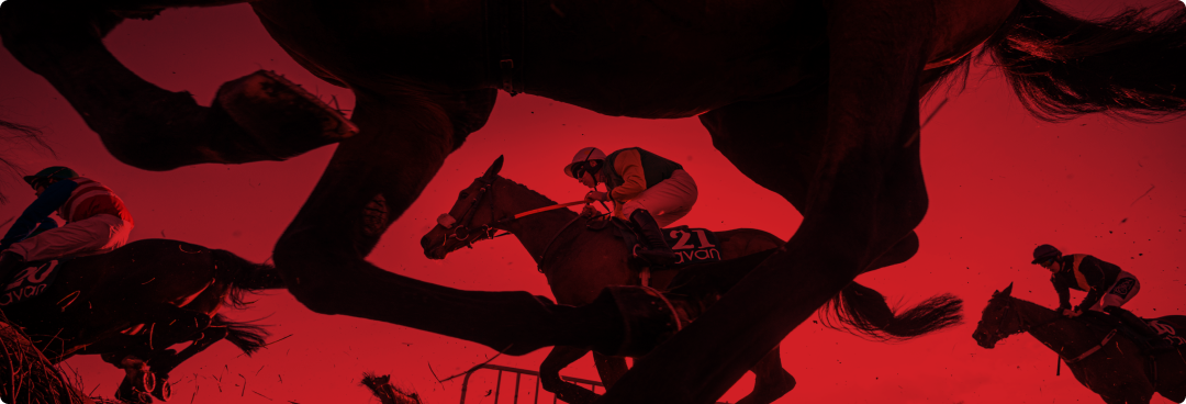 Horse Racing Image